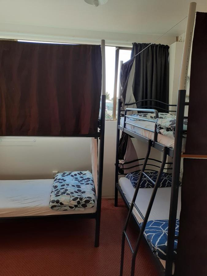 הוסטל נלסון Bouncing Lamb Backpackers מראה חיצוני תמונה